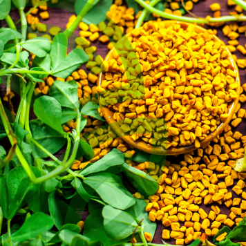 Fenugreek & Thyme NSP NSP, modelo 885  | Imagen № 1