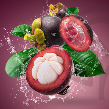 Zambroza NSP NSP, modelo 4104  | Imagen № 2