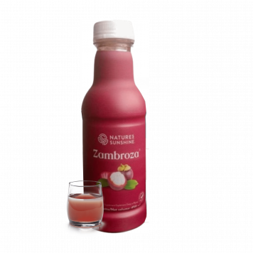 Zambroza NSP NSP, modelo 4104  | Imagen № 1