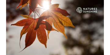 Actualización metabólica de otoño: qué suplementos le ayudarán a acelerar su metabolismo Actualización metabólica de otoño: qué suplementos le ayudarán a acelerar su metabolismo