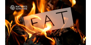 ¿Por qué necesita grasa el cuerpo? El papel del tejido adiposo en la defensa toxicológica