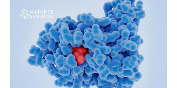 Un enfoque nutricional para la recuperación del cáncer: cómo apoyar al cuerpo con NSP Un enfoque nutricional para la recuperación del cáncer: cómo apoyar al cuerpo con NSP