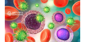 Cómo reforzar la inmunidad en verano: soluciones naturales de NSP