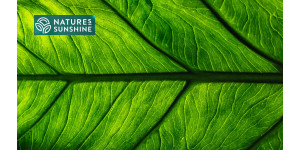 Productos inteligentes para las varices: la experiencia de NSP