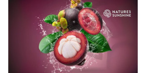 Escudo púrpura: cómo Zambroza potencia la salud vascular y retrasa el envejecimiento